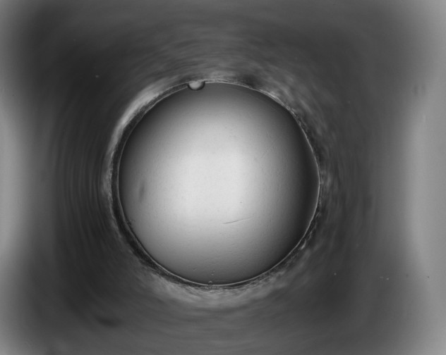 X0000086720006200704201635