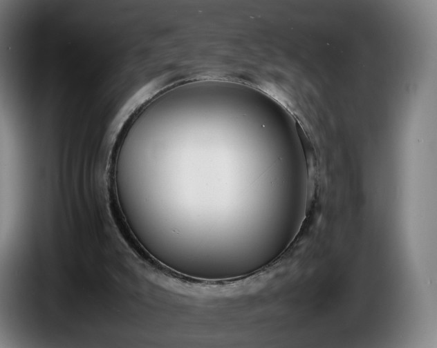 X0000086720007200704201635