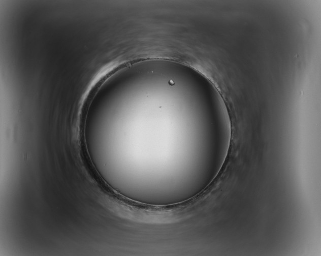 X0000086720008200704201635