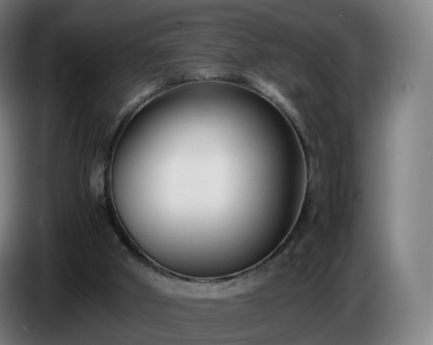 X0000086720010200704201635