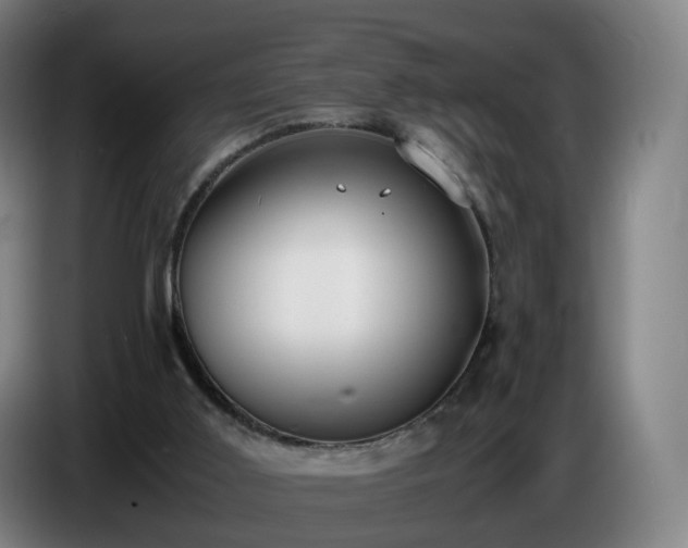 X0000086720011200704201635