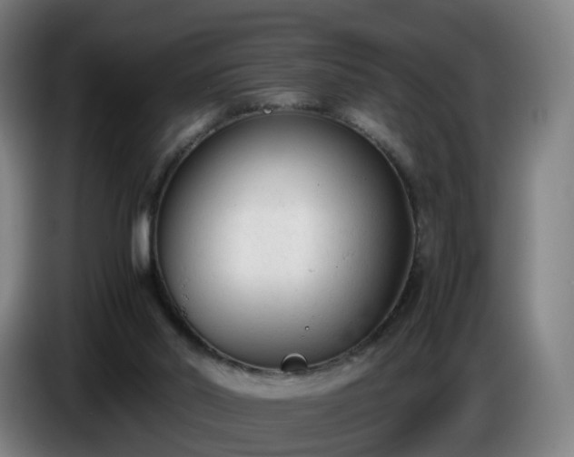 X0000086720014200704201635