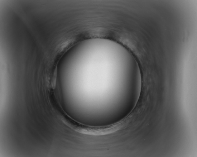 X0000086720017200704201635