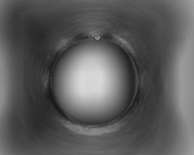 X0000086720018200704201635