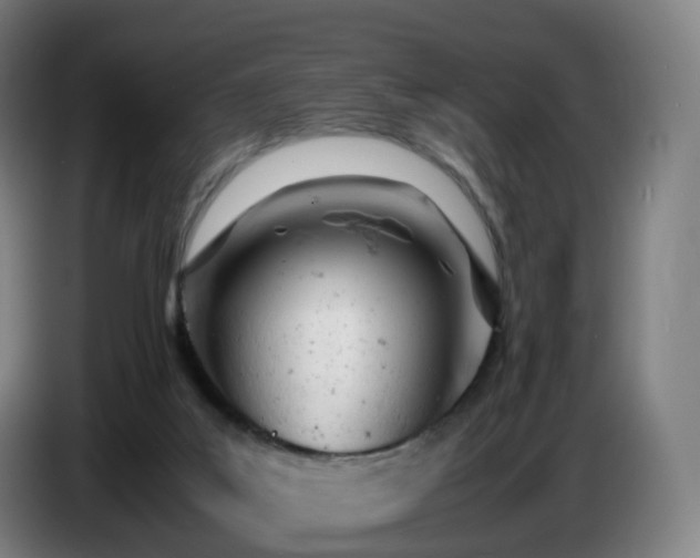 X0000086720019200704201635