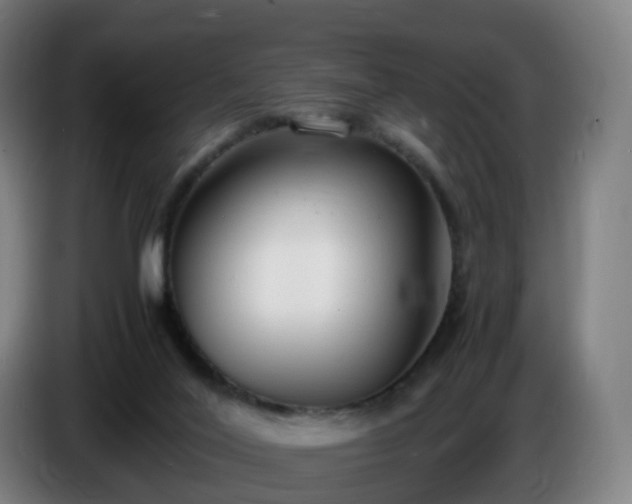 X0000086720020200704201635