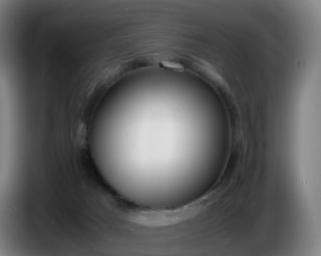 X0000086720025200704201635