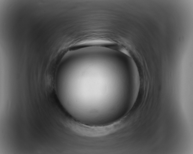 X0000086720031200704201635