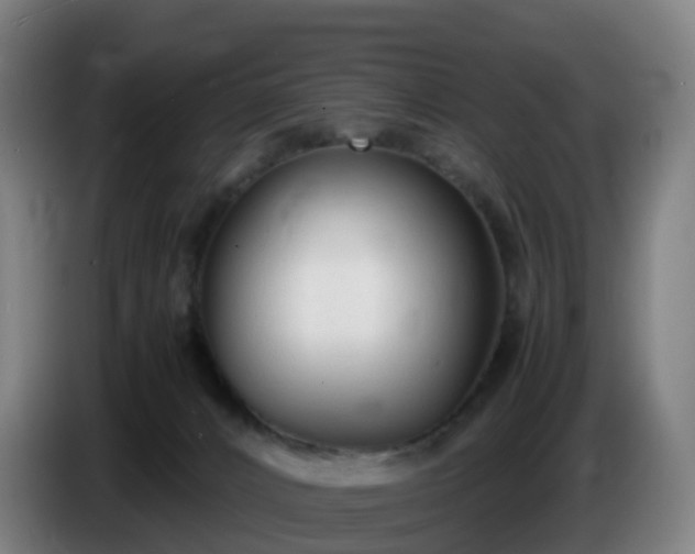 X0000086720032200704201635