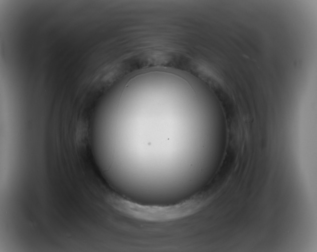 X0000086720034200704201635