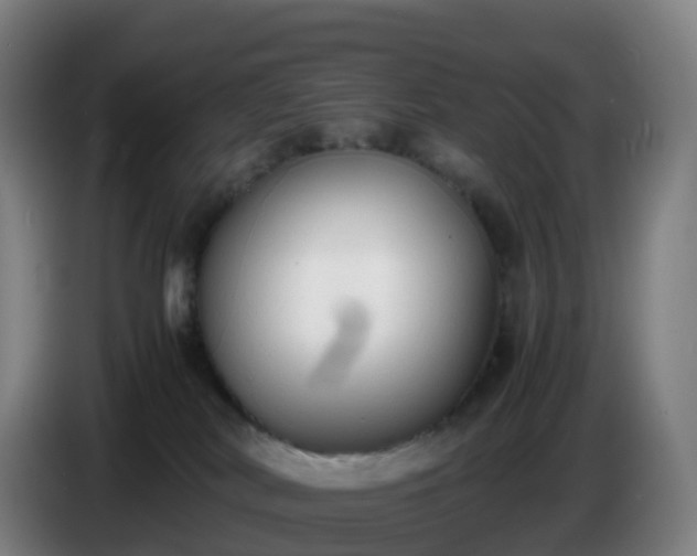 X0000086720038200704201635