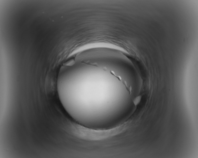 X0000086720039200704201635