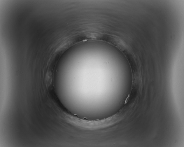 X0000086720043200704201635