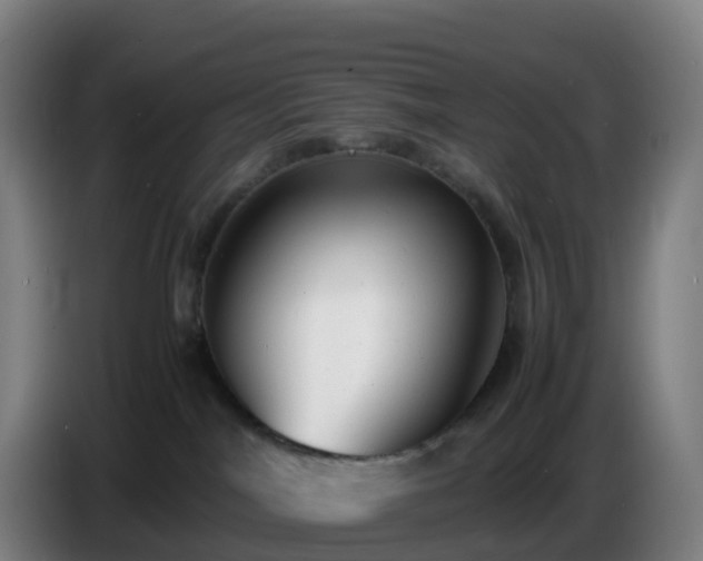 X0000086720044200704201635