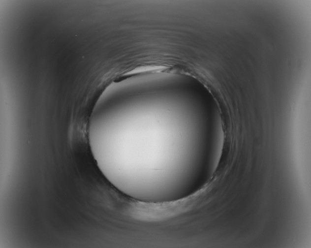 X0000086720045200704201635