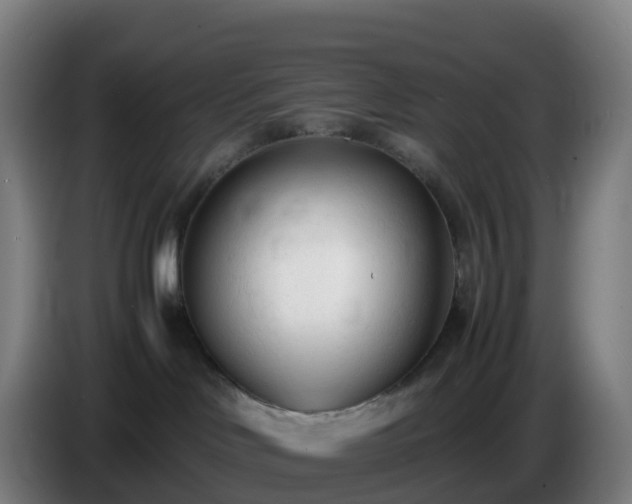 X0000086720046200704201635