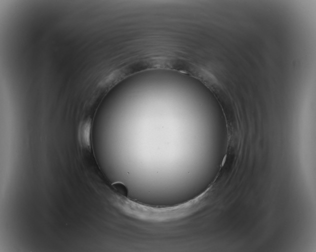 X0000086720047200704201635