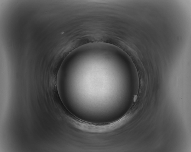 X0000086720048200704201635