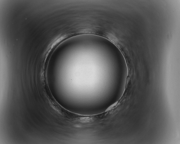 X0000086720050200704201634