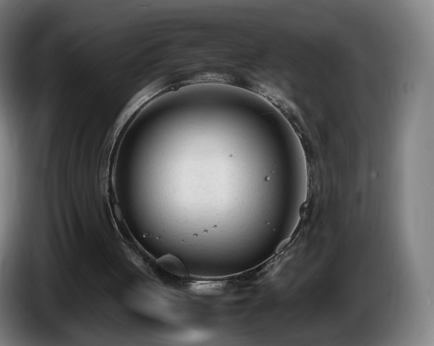 X0000086720051200704201634