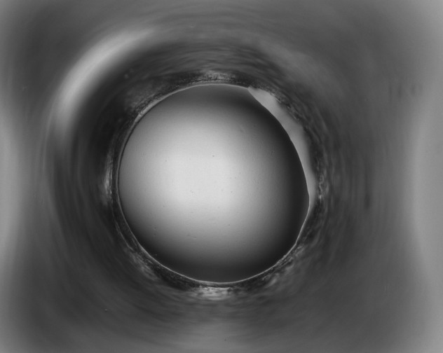 X0000086720052200704201634