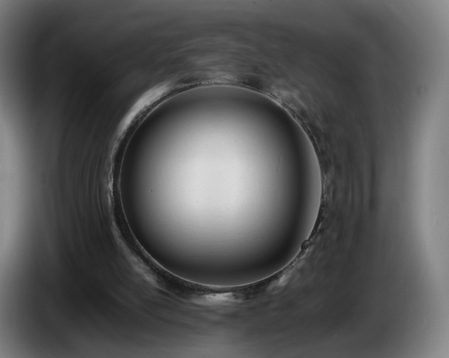 X0000086720054200704201634