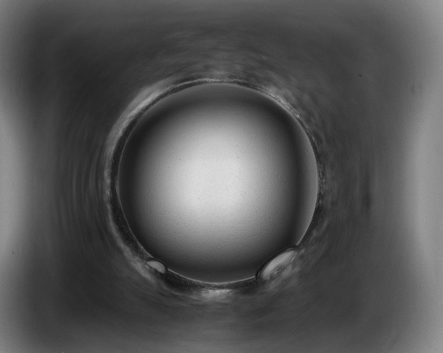 X0000086720055200704201634