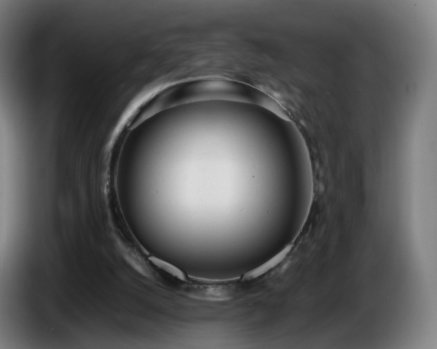 X0000086720056200704201634