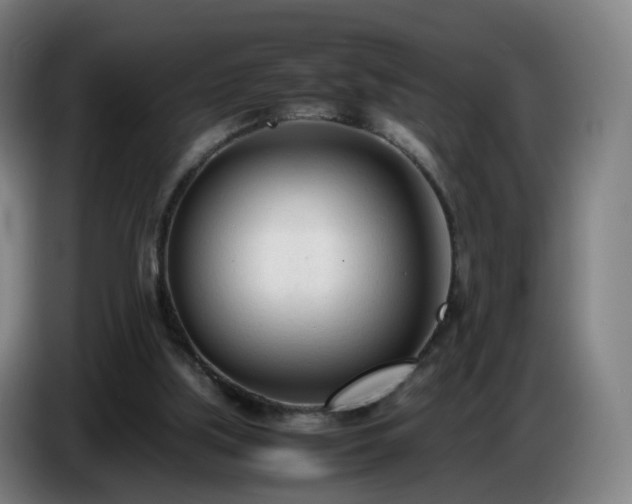 X0000086720059200704201634