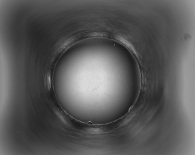 X0000086720061200704201634