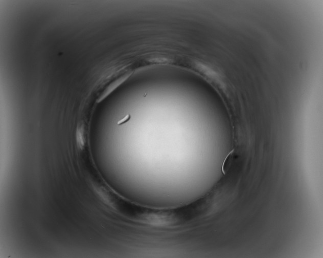 X0000086720069200704201634