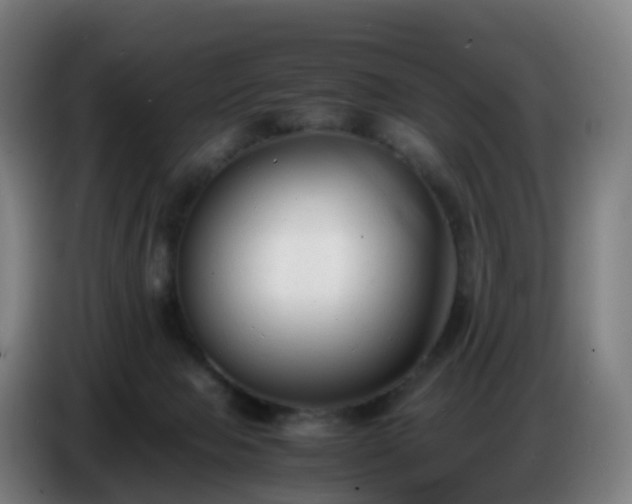 X0000086720077200704201635