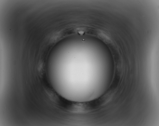 X0000086720079200704201635