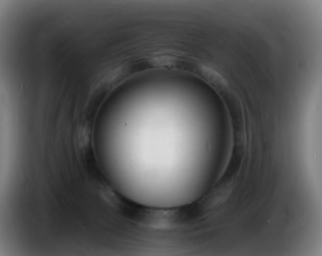 X0000086720081200704201635