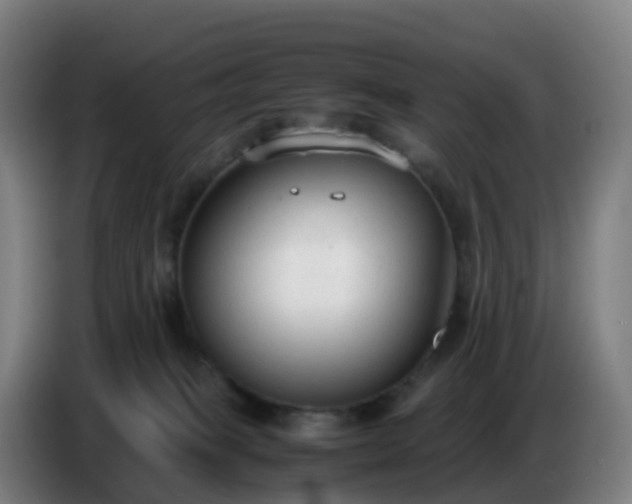 X0000086720085200704201635
