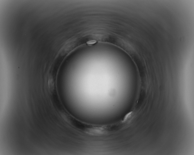 X0000086720086200704201635