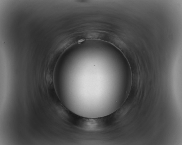 X0000086720091200704201635