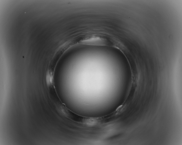 X0000086720095200704201635