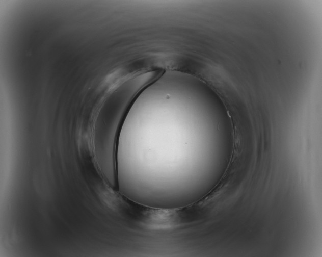 X0000086720096200704201635