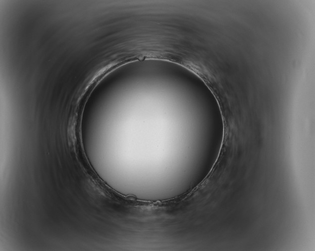 X0000086720098200704201634