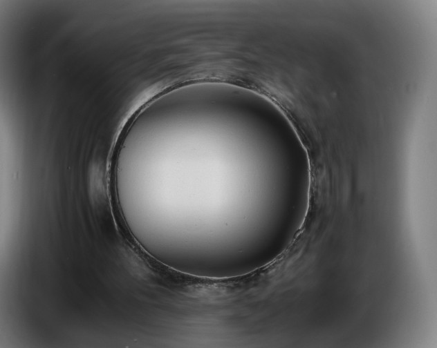 X0000086720100200704201634