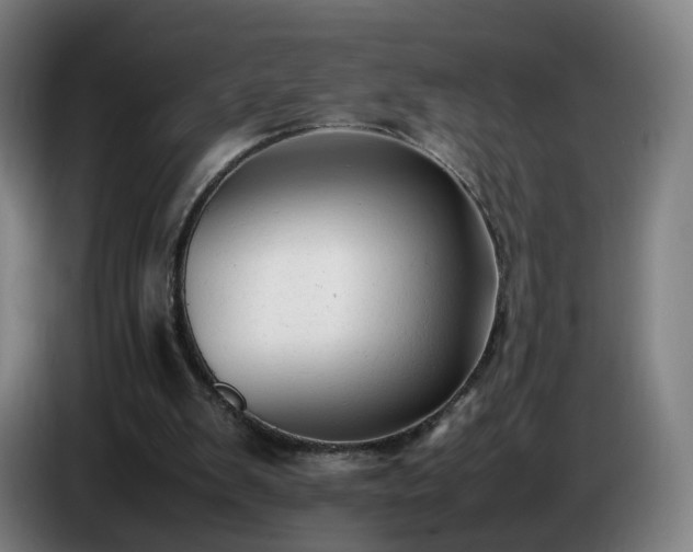 X0000086720103200704201634