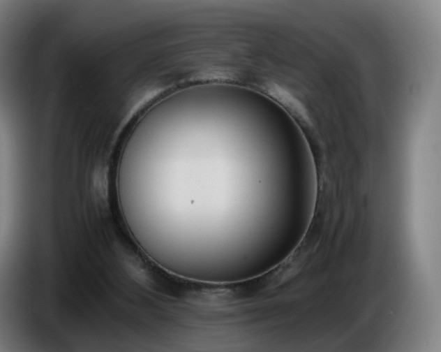 X0000086720108200704201634