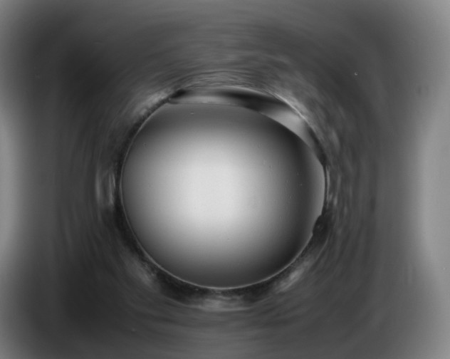 X0000086720109200704201634