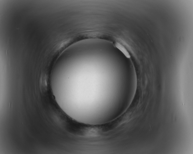 X0000086720115200704201634