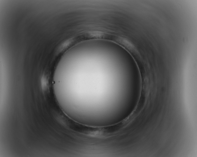 X0000086720116200704201634