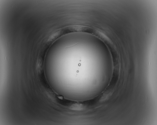 X0000086720119200704201634