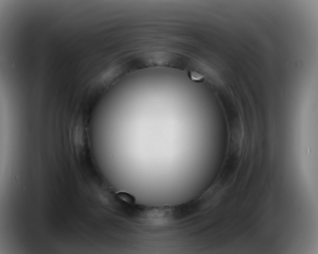 X0000086720126200704201634