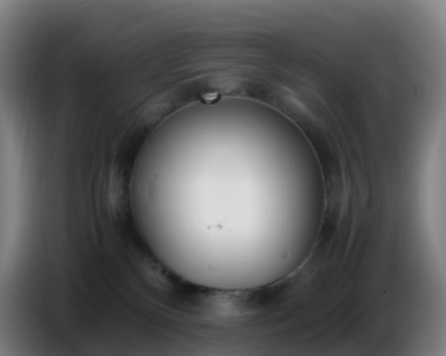 X0000086720136200704201634