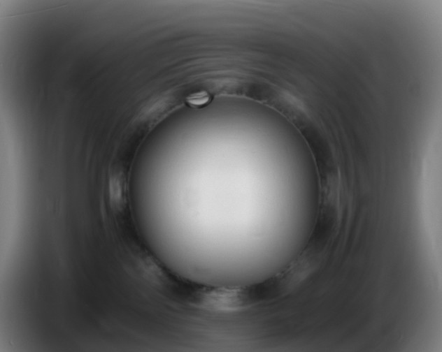 X0000086720138200704201634